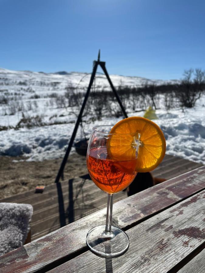 Berntebu Villa Uvdal Dış mekan fotoğraf